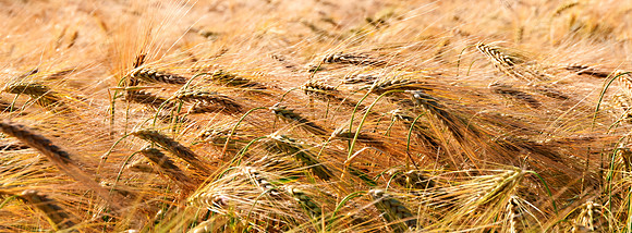 20110620-PAS_2434-3