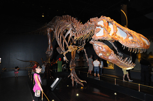 20130908-PAS_1395