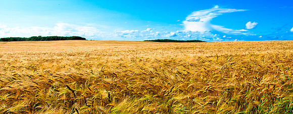 20110620-PAS_2421-2-2