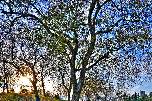 20121027-PAS_5966_2