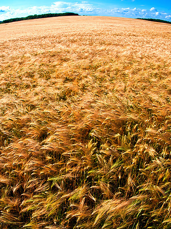 20110620-PAS_2435-2