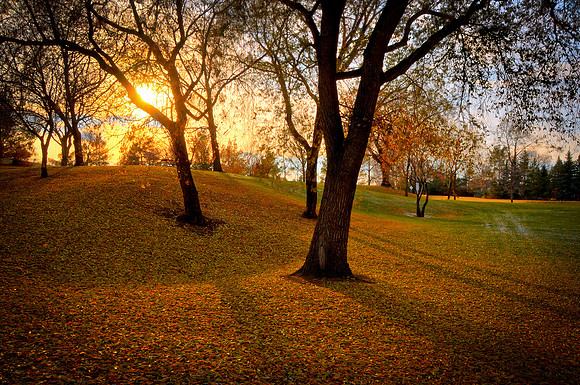 20121027-PAS_5959-Edit_60-Edit_62-Edit_63-Edit_64-Edit_65-Edit_tonemapped