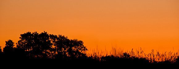 20110629-PAS_3520-4