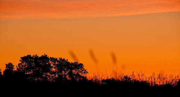 20110629-PAS_3520-2
