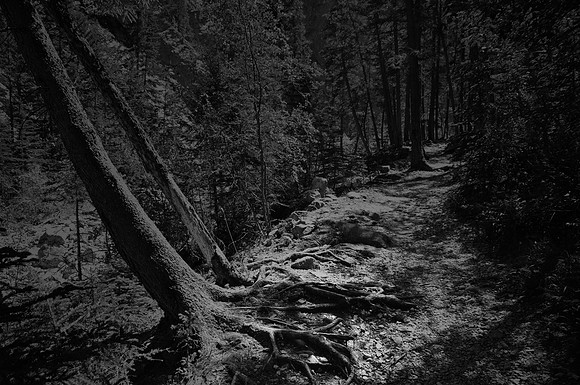 Path Less Travelled