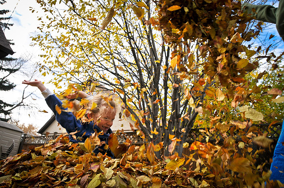 20131020-PAS_3000