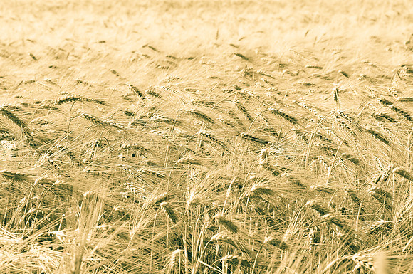 20110620-PAS_2424-2